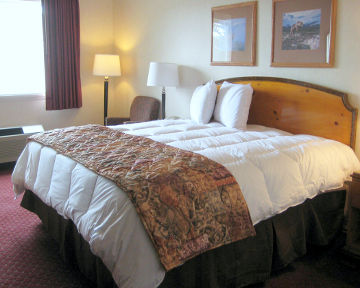 Hotel Gray Wolf &