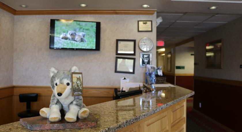 Gray Wolf & Hotel 2*