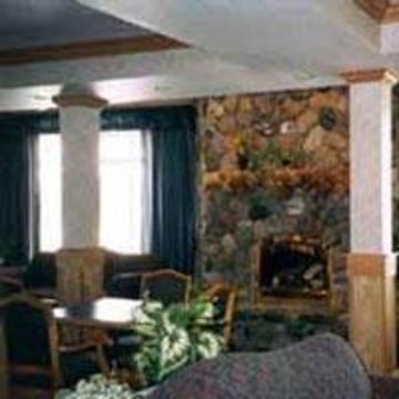 Gray Wolf & Hotel West Yellowstone