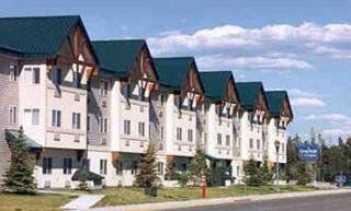 Gray Wolf & Hotel West Yellowstone