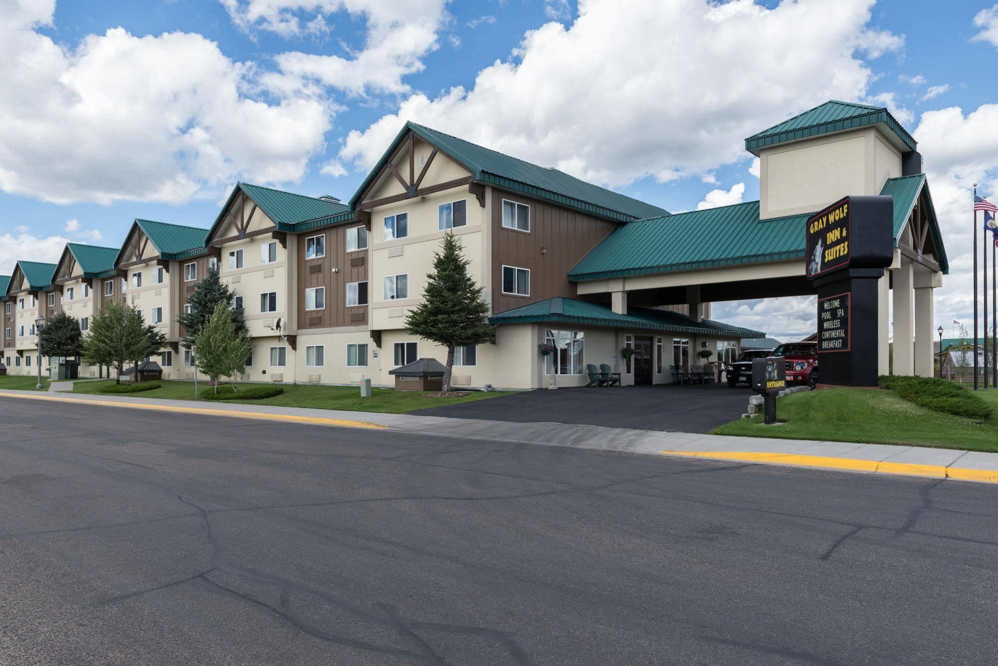 Gray Wolf & Hotel West Yellowstone