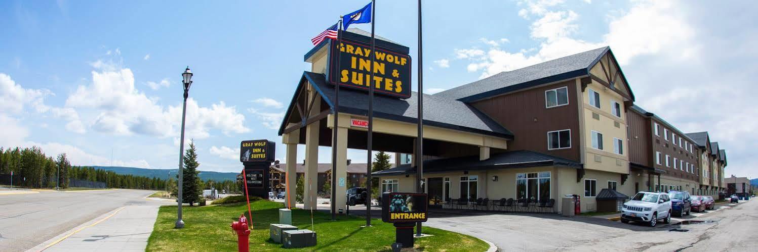 Gray Wolf & 2* West Yellowstone
