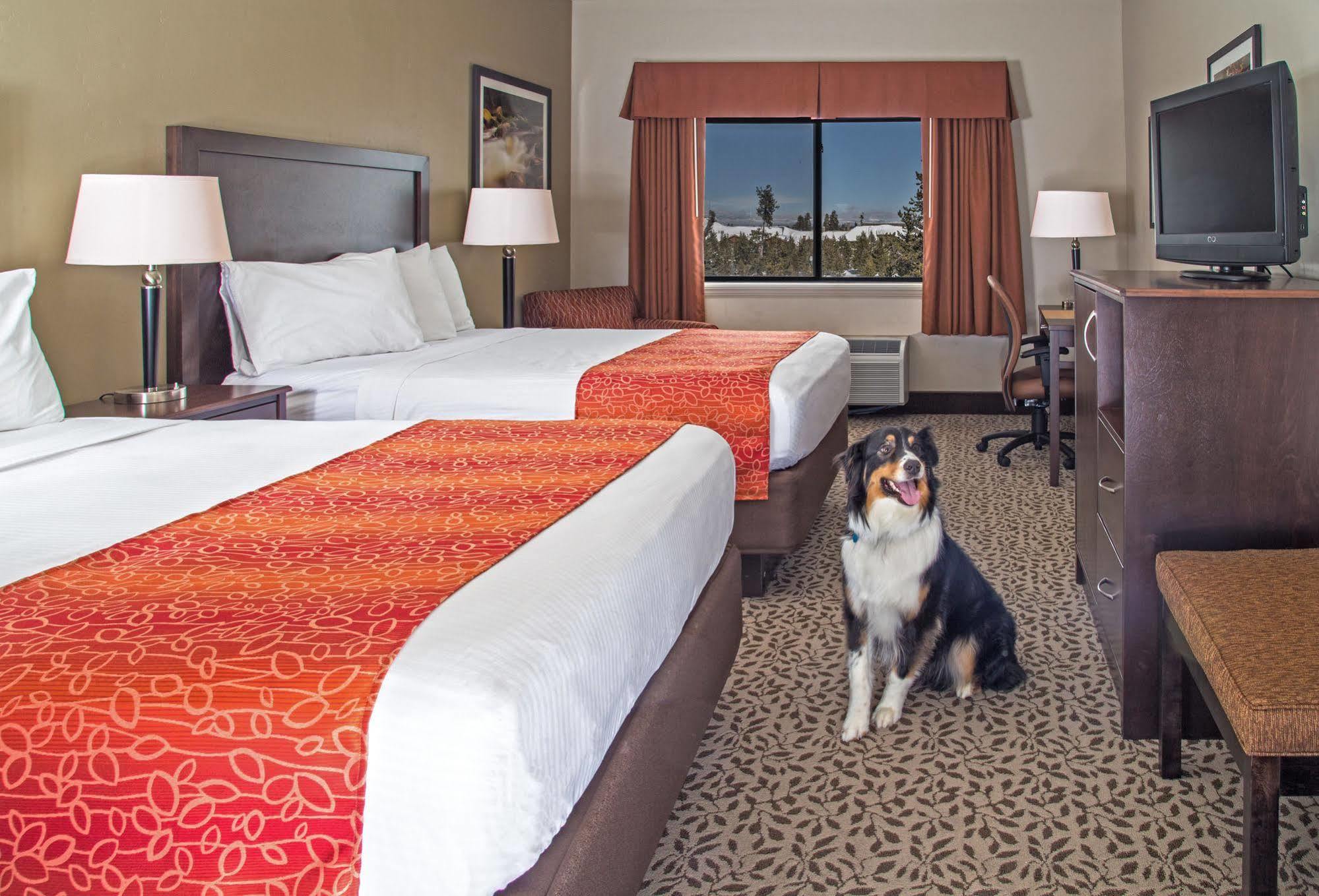 Hotel Gray Wolf &