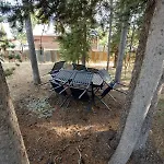 Ycc Cabin