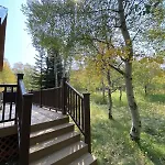 The Aspen House
