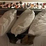 Lake View Suites