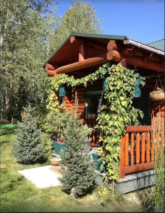 Holiday home Lazy Fox West Yellowstone