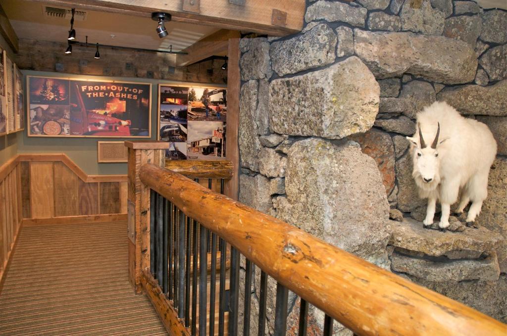 Three Bear Lodge *