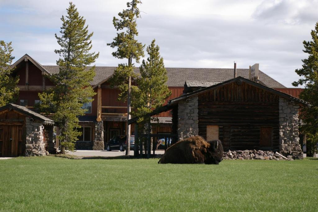 Three Bear Lodge *