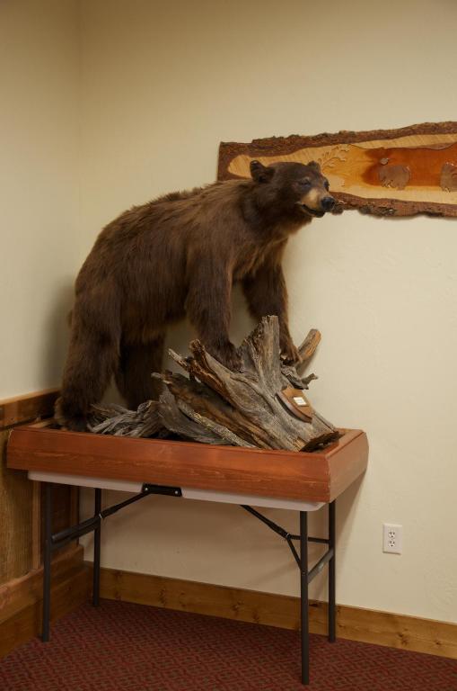 Three Bear Lodge West Yellowstone