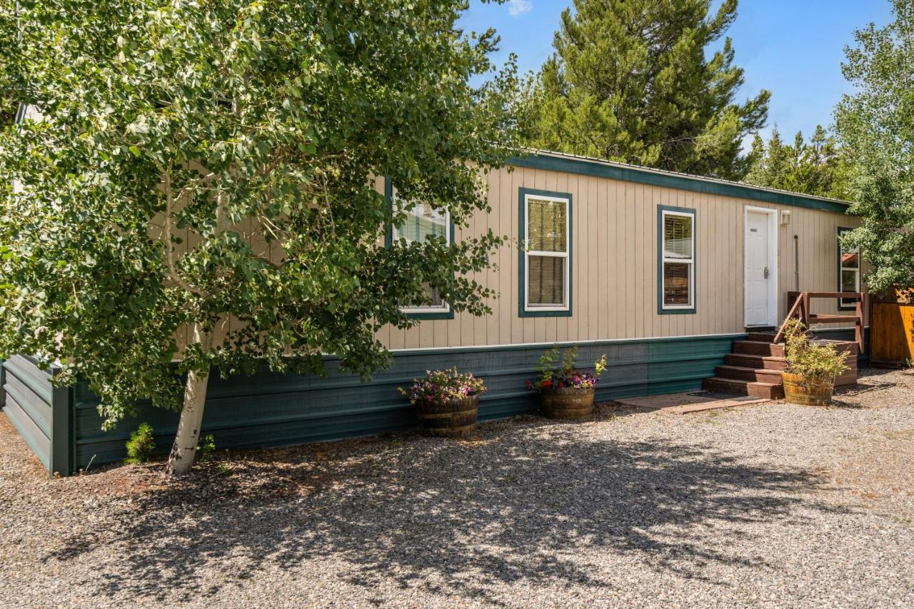 Alpine #3 Holiday home