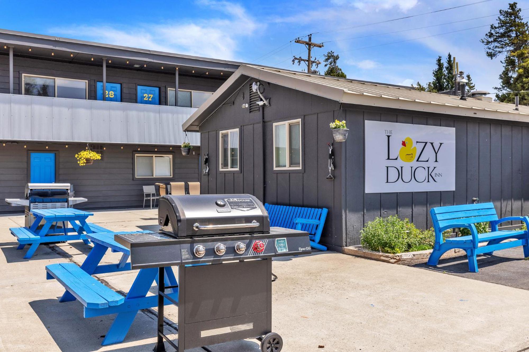 Lazy Duck