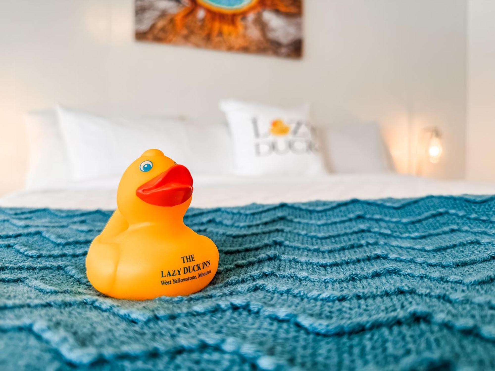 Lazy Duck Hotel