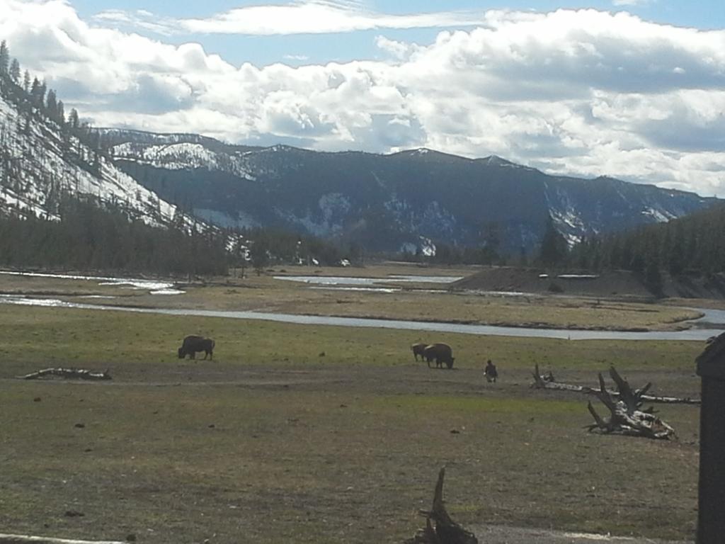 West Yellowstone Bed And Breakfast 3* West Yellowstone