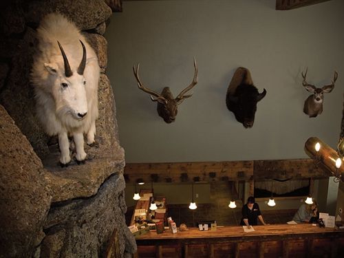 Three Bear Lodge West Yellowstone