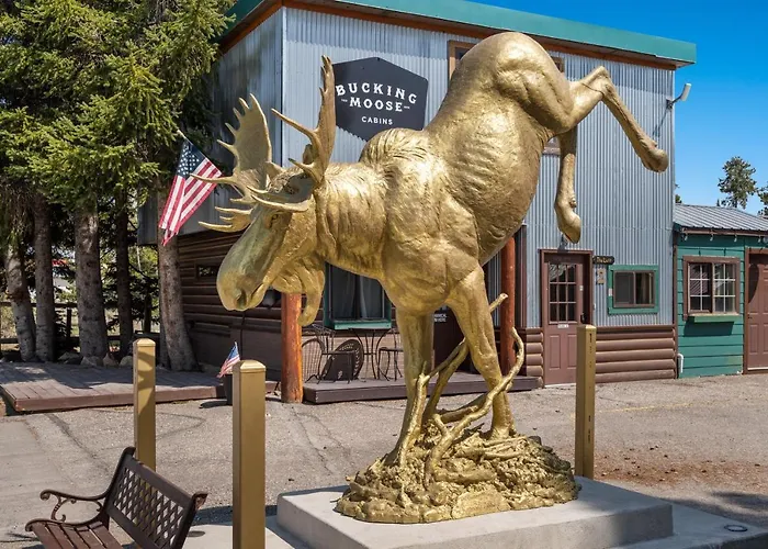 The Bucking Moose
