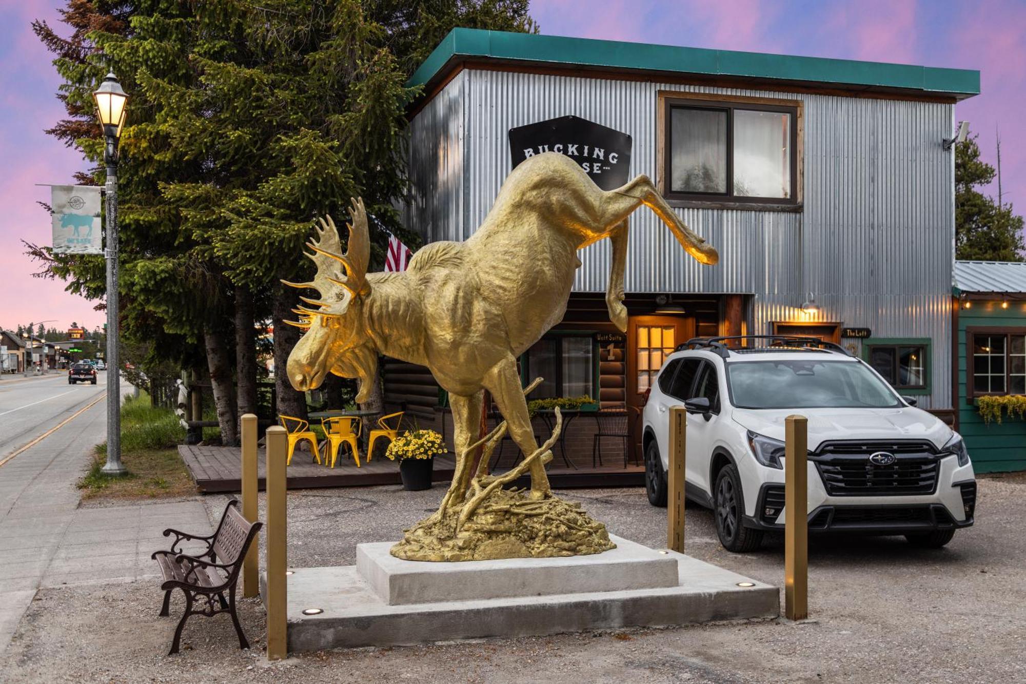 Hotel The Bucking Moose