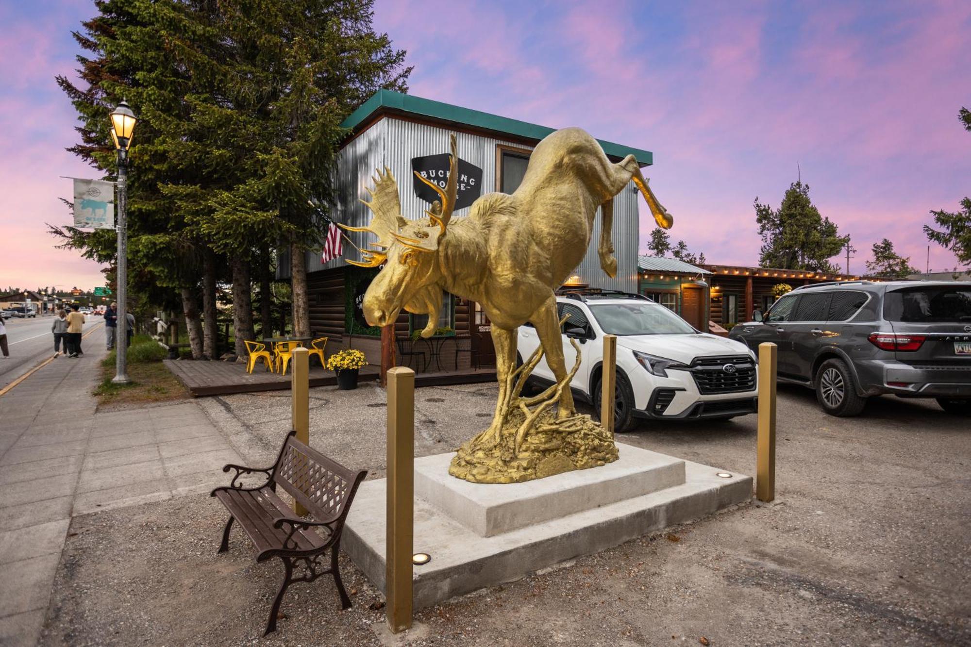 Hotel The Bucking Moose *
