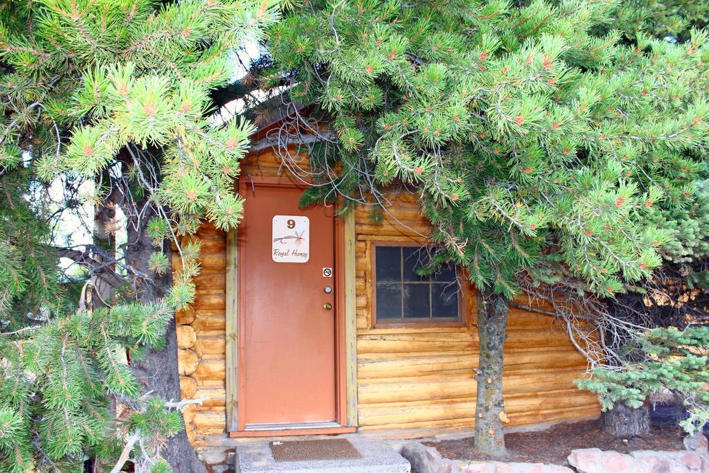 Sleepy Hollow West Yellowstone
