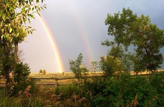 Parade Rest Ranch Resort 3*