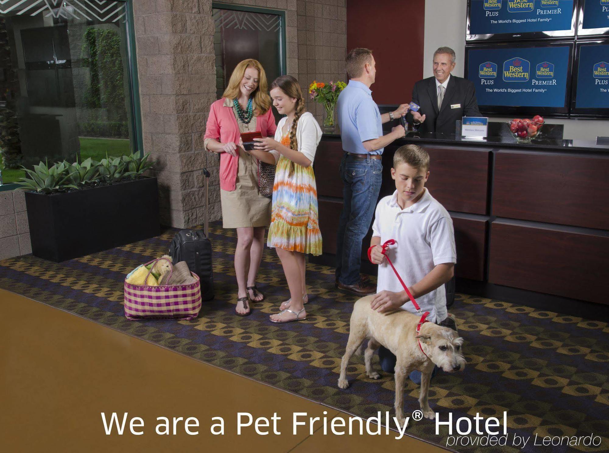 Hotel Western Desert 3*